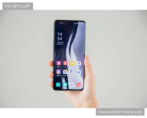 尊龙时凯官方网站入口：官方入口的安全验证机制与用户隐私保护措施