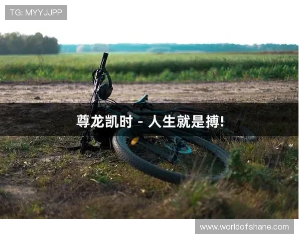 尊龙凯时中国人生：从游戏角度探讨中国人生哲学的体现与传承