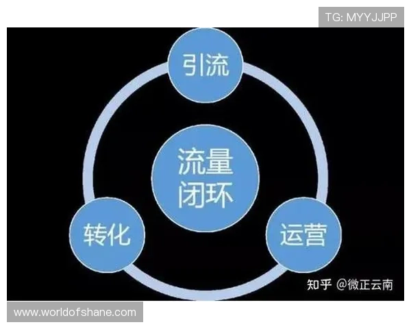 尊龙凯时人生抖圈：分析抖音圈子中优质内容的创作策略与流量提升方法
